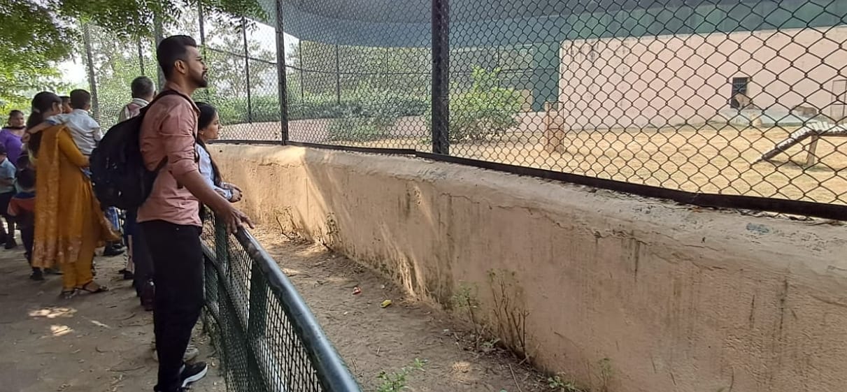 Zoo's family will increase, hippopotamus will come from Africa