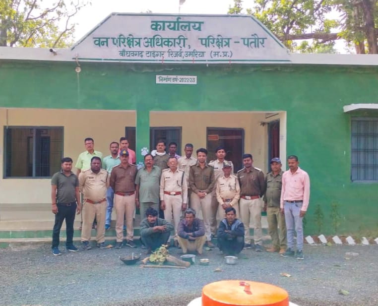 Umaria: Now chital is hunted in Bandhavgarh National Park, got attacked by dog