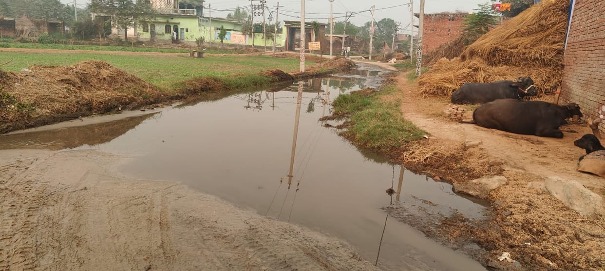 Villagers were angry over the poor condition of the road and protested by shouting slogans