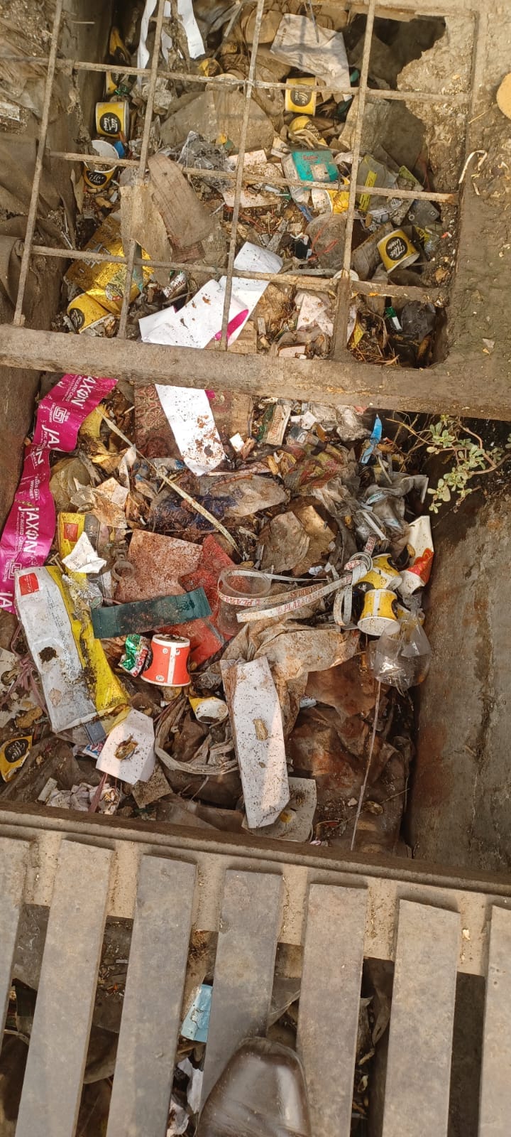 People are upset due to lack of cleanliness, said mosquitoes are breeding due to filth