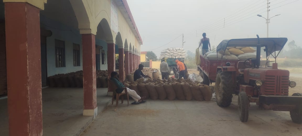 Purchase of paddy did not start at 10 purchase centers