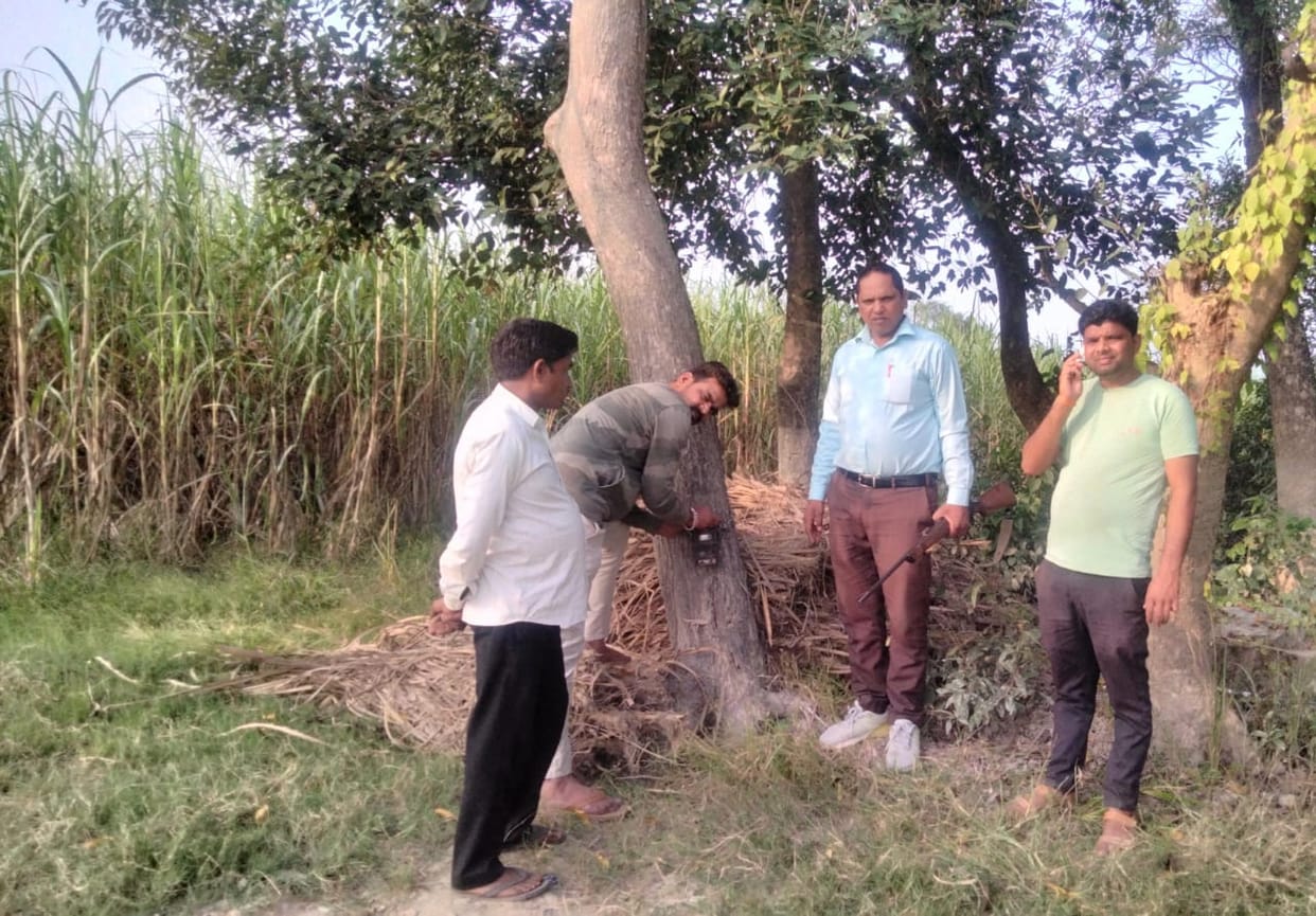 Stampede caused by sighting of tiger near Madhavwa pond