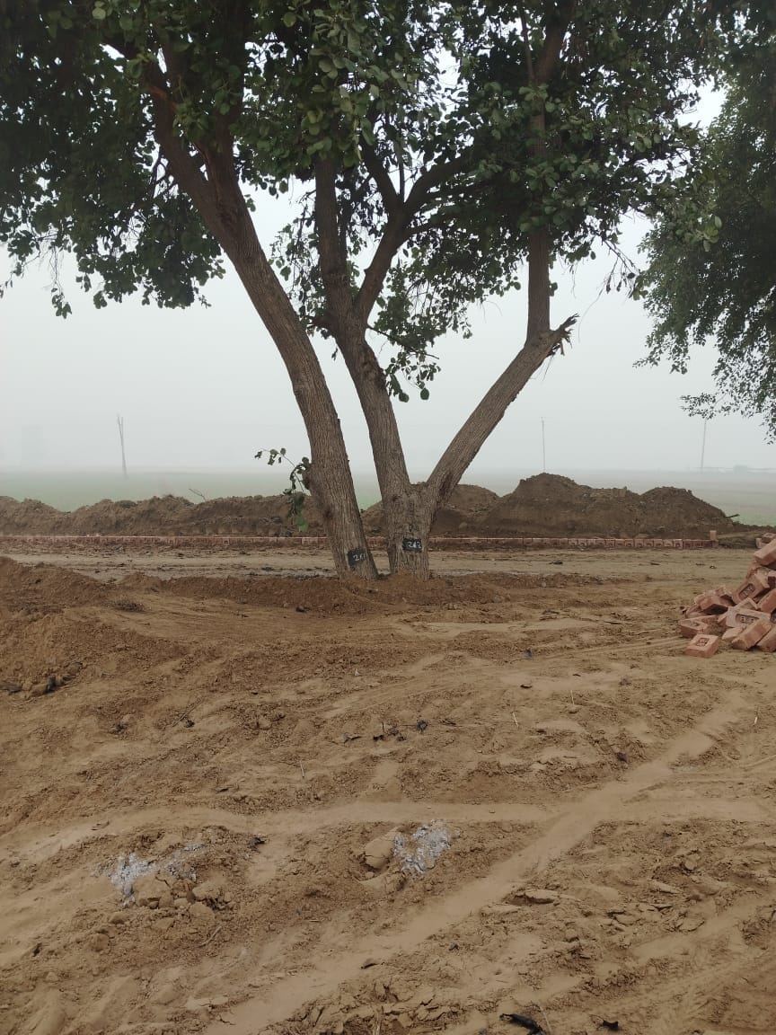 Road construction work started without removing trees, people protested