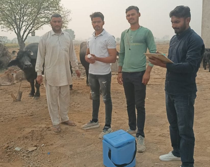Target of vaccination of 3300 animals in Baliali