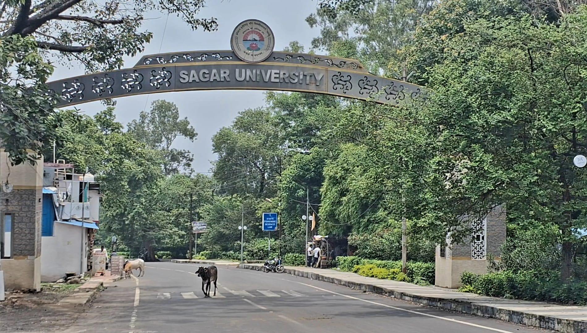 सागर विश्वविद्यालय