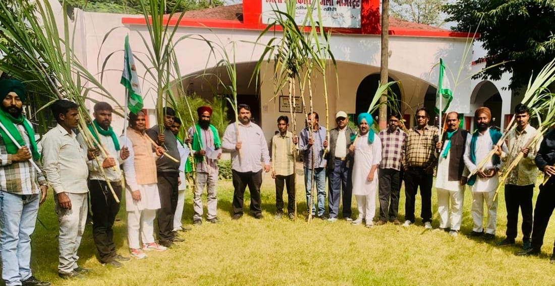 BKU demands increase in sugarcane price
