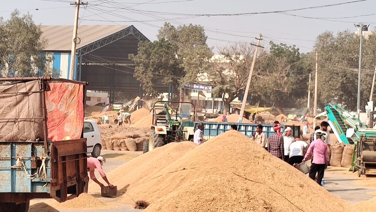Market opened after being closed for two days, filled with farmers' paddy