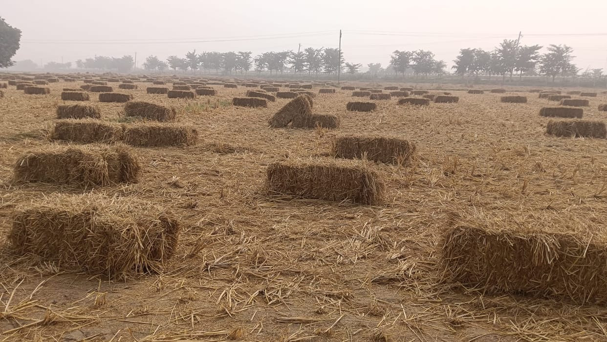 4005 more farmers did stubble management than last year