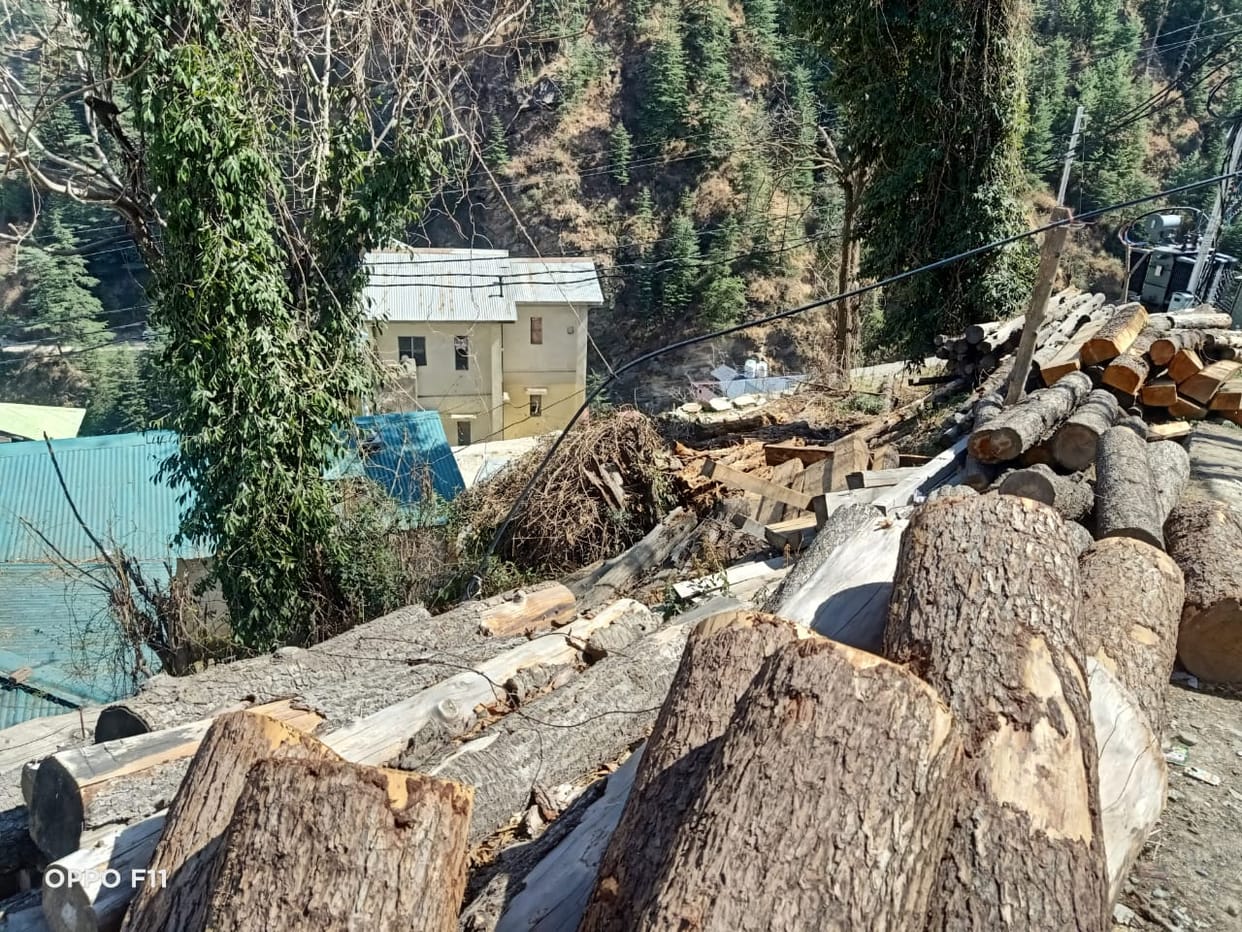 Kotkhai Forest Department Office, Rohru, Shimla