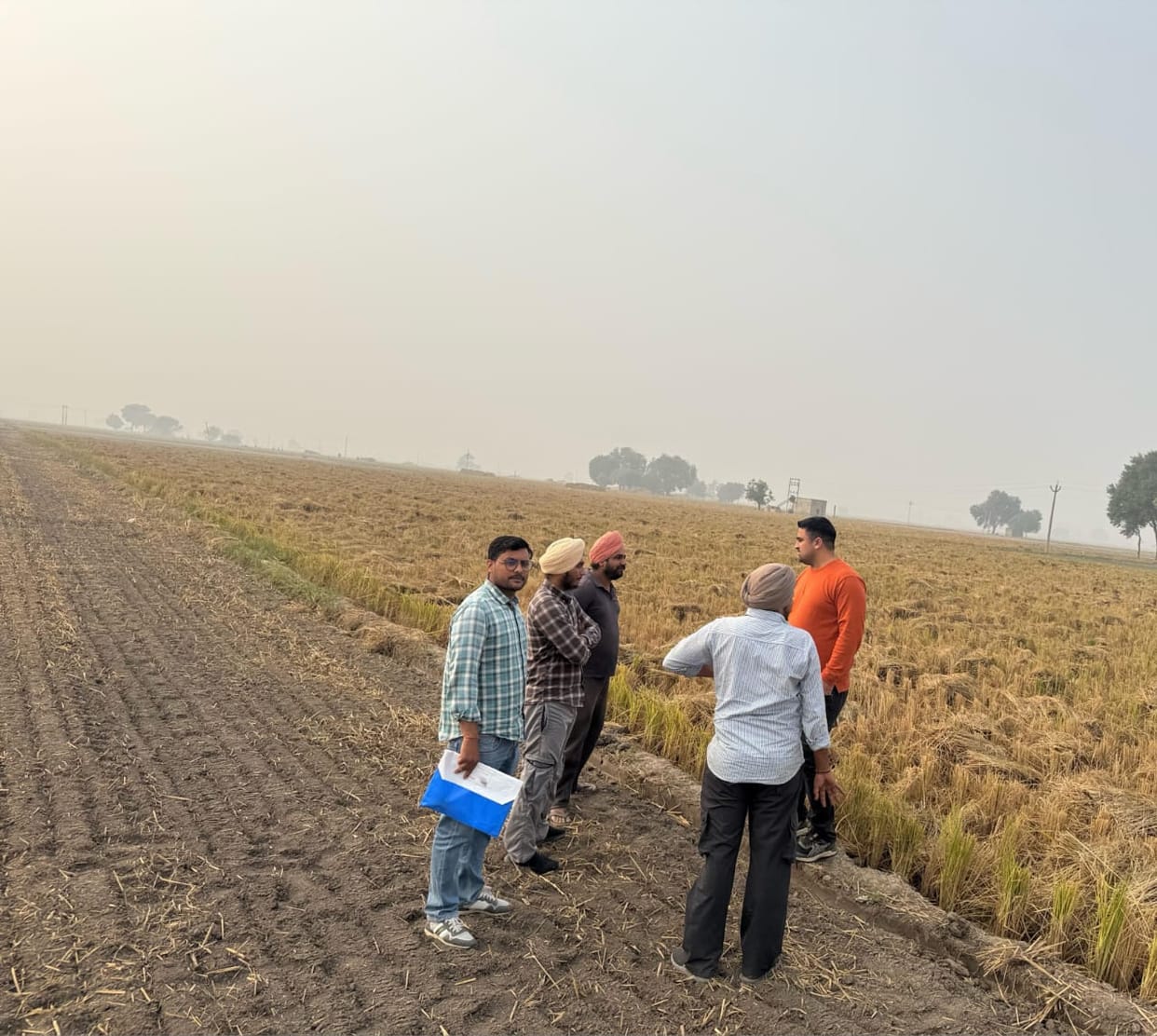 Increase in stubble burning cases in two days, figure reaches 134, show cause notice to agriculture officers posted at block level