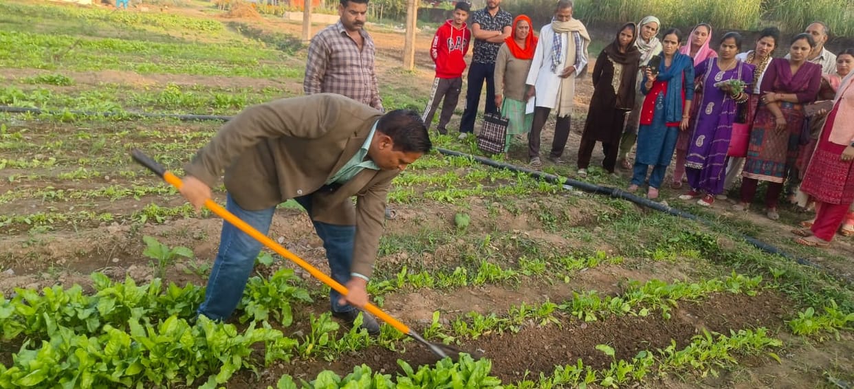 Even those with less land can increase their income through agro-forestry: Dr. Vipan