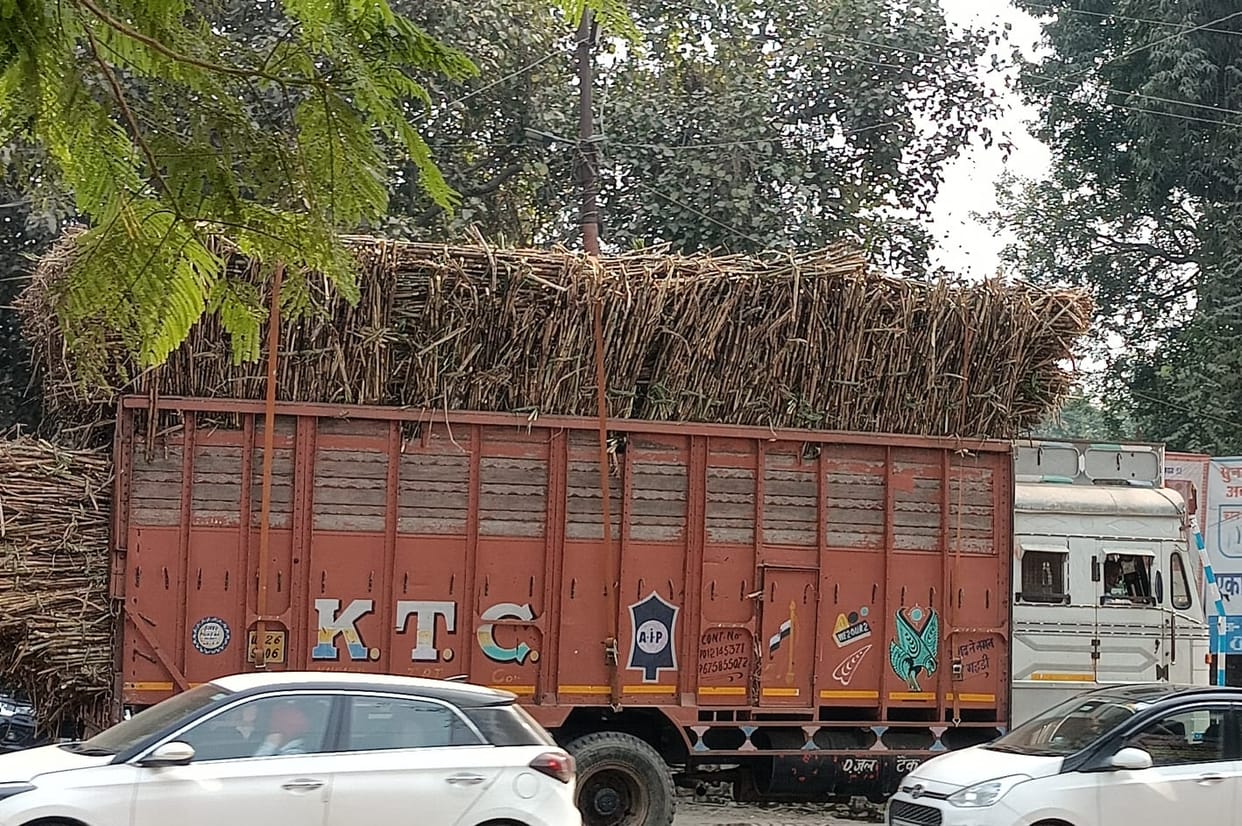 Sugarcane laden vehicles running on the roads without reflectors