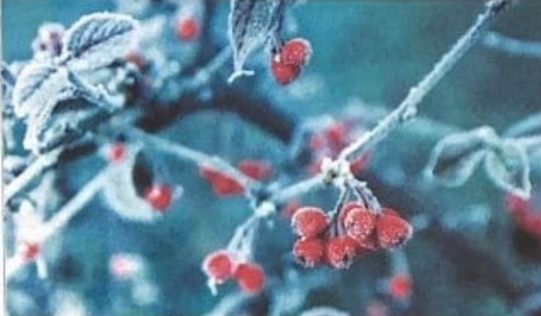 Cheap solution ready to protect crops from fog
