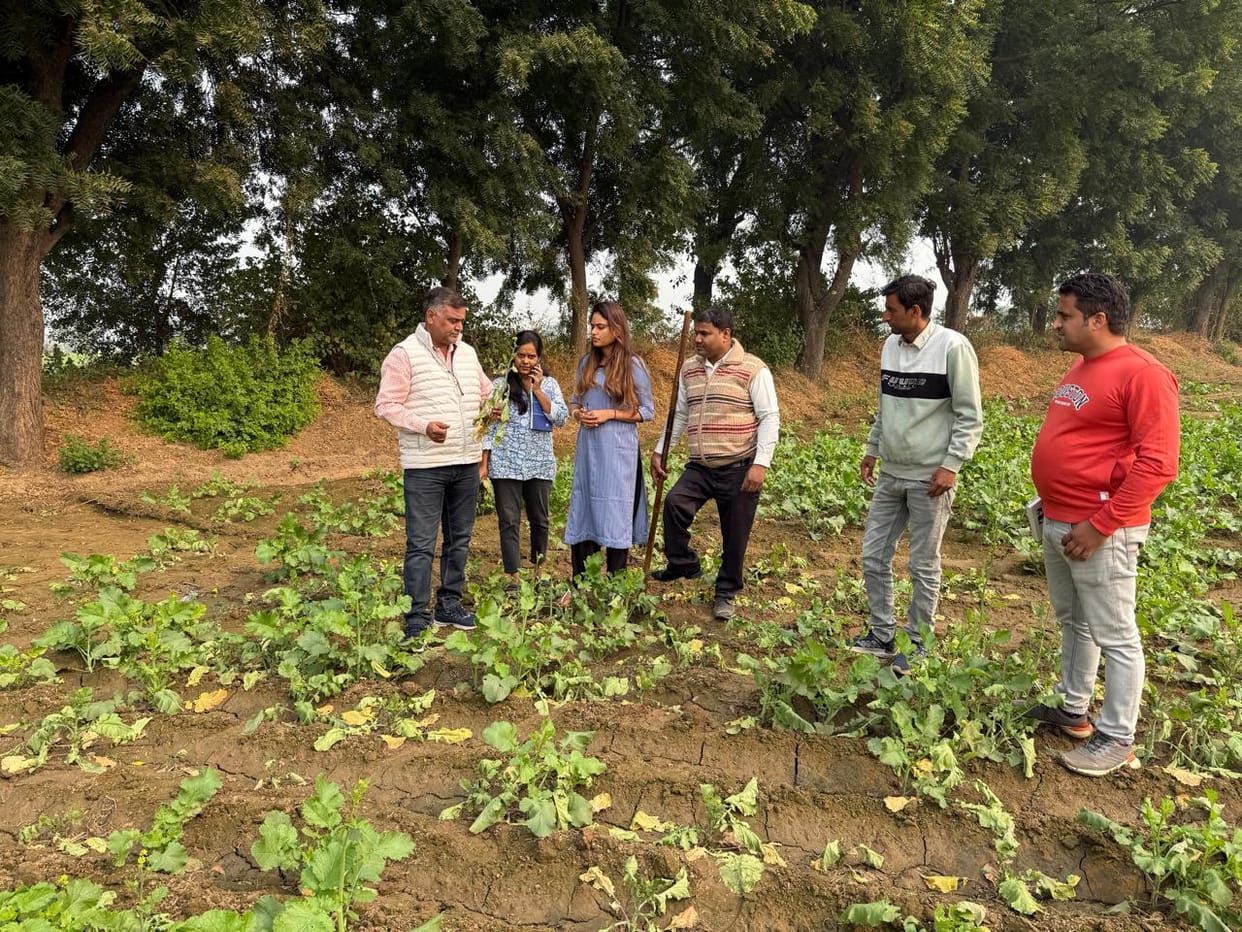 After inspecting the fields, samples of mustard and wheat crops were taken, report will come in three days