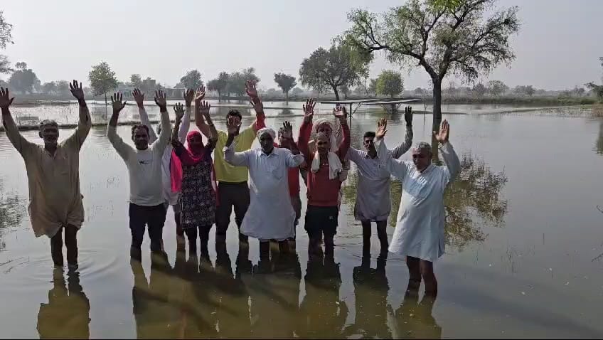 Crisis on wheat sowing in Manu Bhakar's village