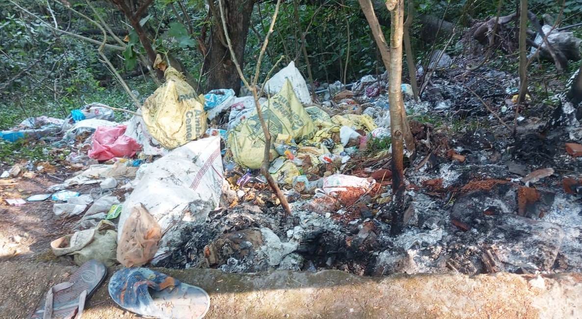 Garbage piled up on roadside in Bamta, people worried