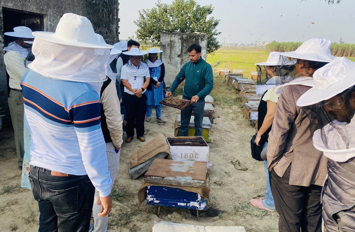 Important information being given in the camp with the aim of promoting beekeeping.