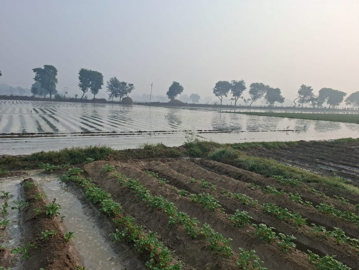 Minor overflows, 60 bighas of crop filled with water