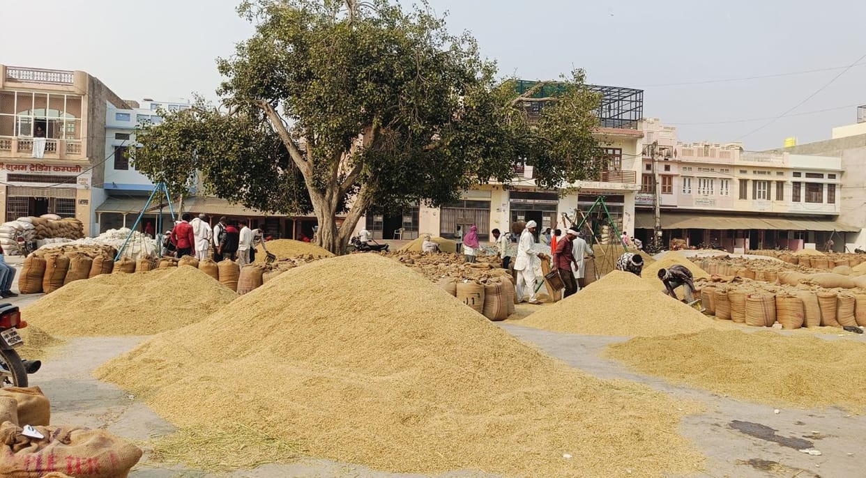 Arrival of paddy 1121 more, price lower than last year