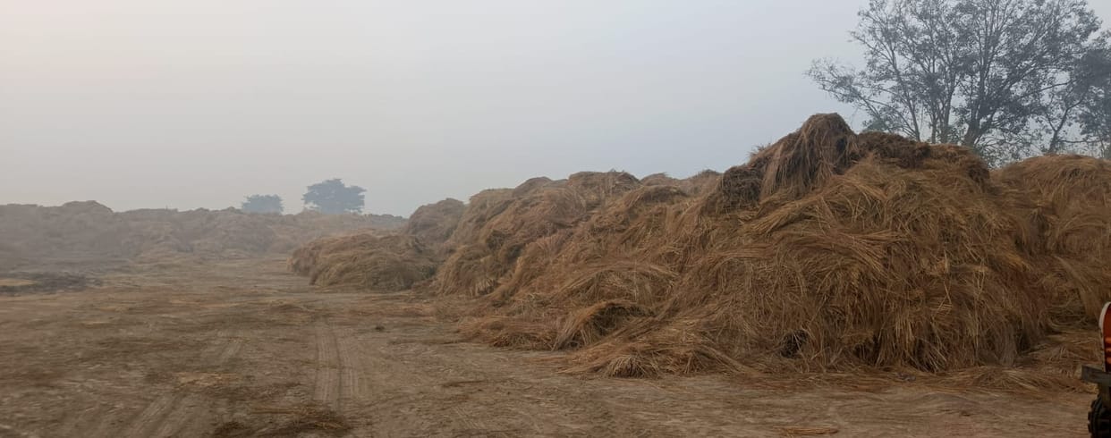 Farmers made stubble management a source of employment