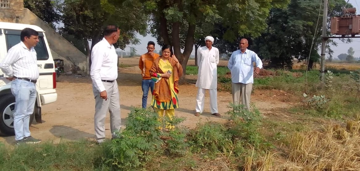 Burning of stubble reduces soil fertility: SDM