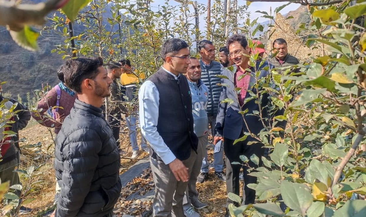 Irrigation tanks and projects should be promoted: DC