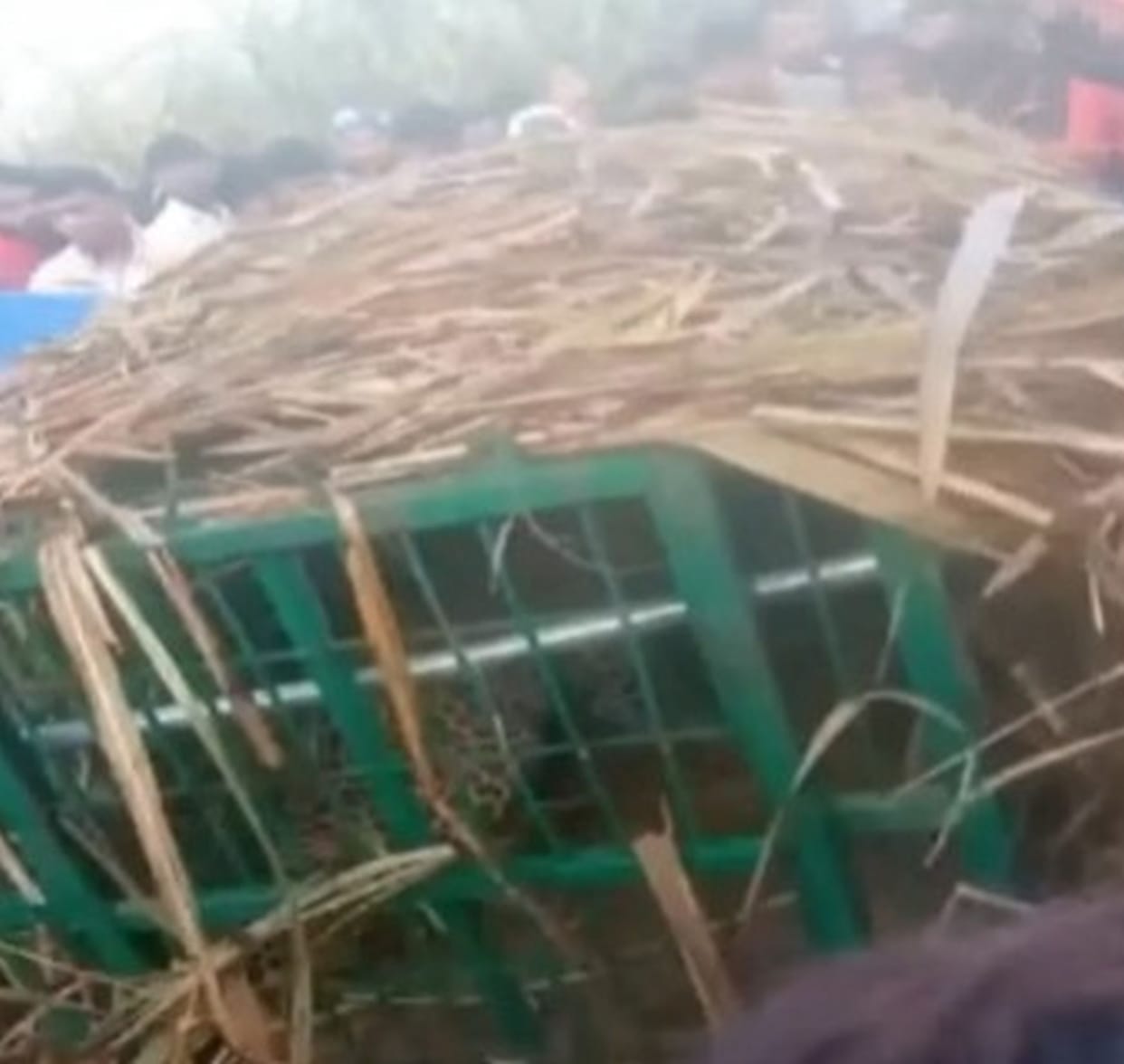 The leopard that killed a seven-year-old child is imprisoned in a cage.