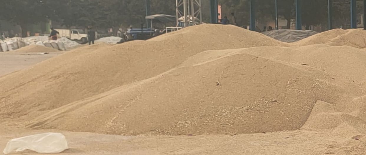 Coarse grains are beneficial, district residents should include them in their diet