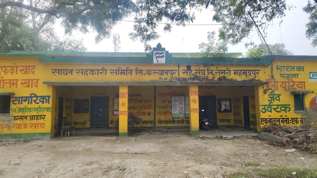 Now wheat seeds also disappear with DAP