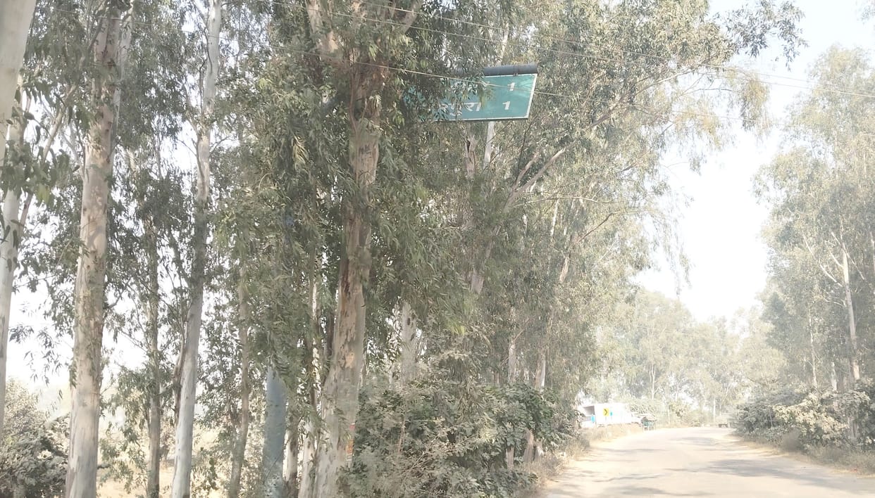 Those who show the way to the drivers are not themselves visible
