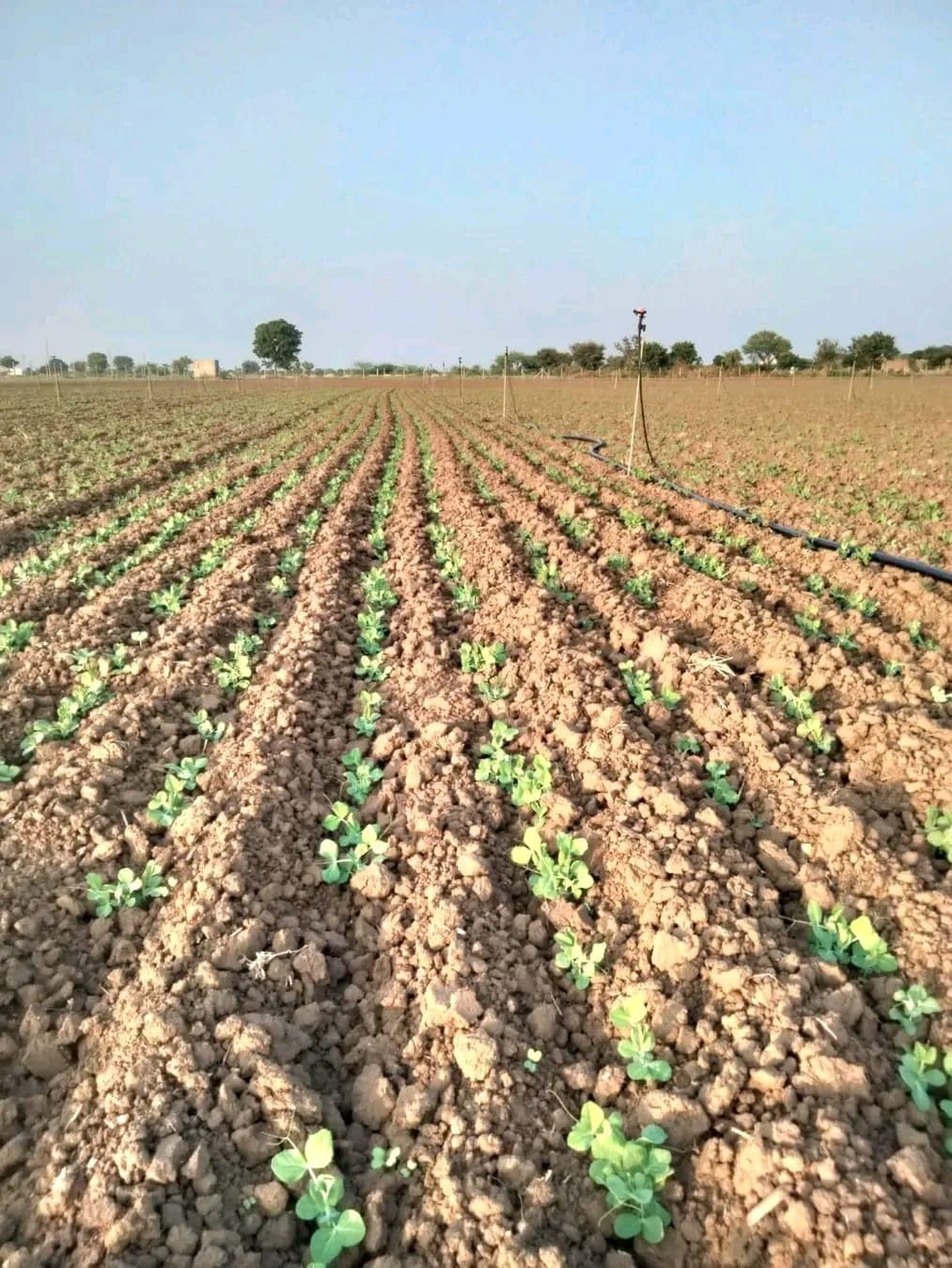 The portal for 85 percent subsidy to farmers on drip irrigation and mini sprinkler systems has been closed for two years.