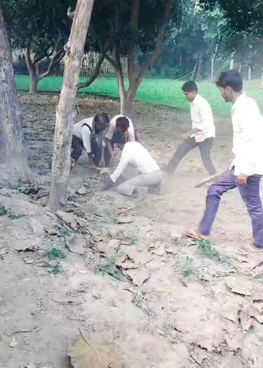 Dreaded langur caught and became synonymous with terror
