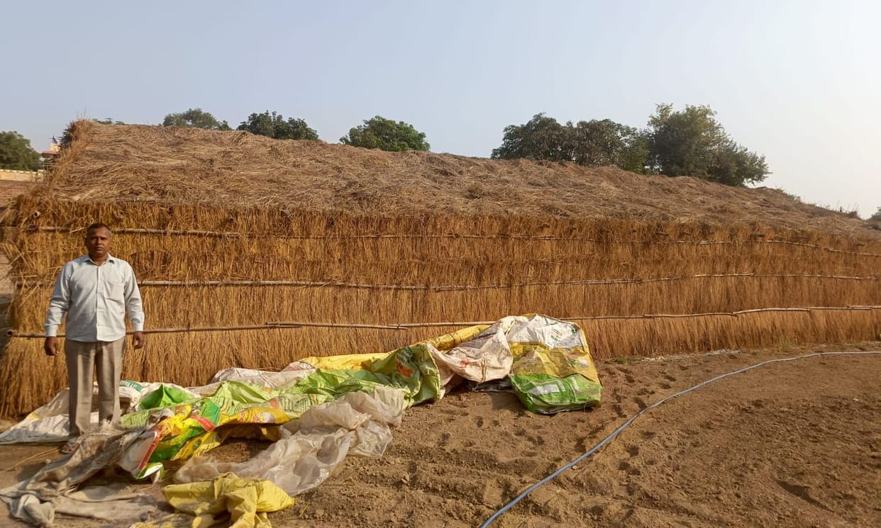 Mushroom farming became the business of Kumbhakars