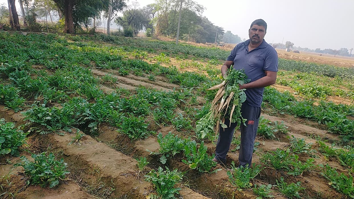 Farmer Ram Swaroop of Nathusari Kalan is earning eight lakh rupees annually by growing vegetables.