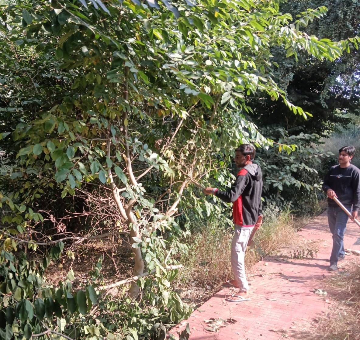 Papiha Park was also finally given to the organization for adoption, Shivpuri Land Reforms Sabha refused to take five parks