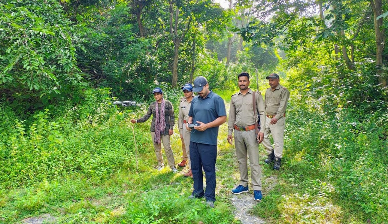 Tigress killed goat in central colony