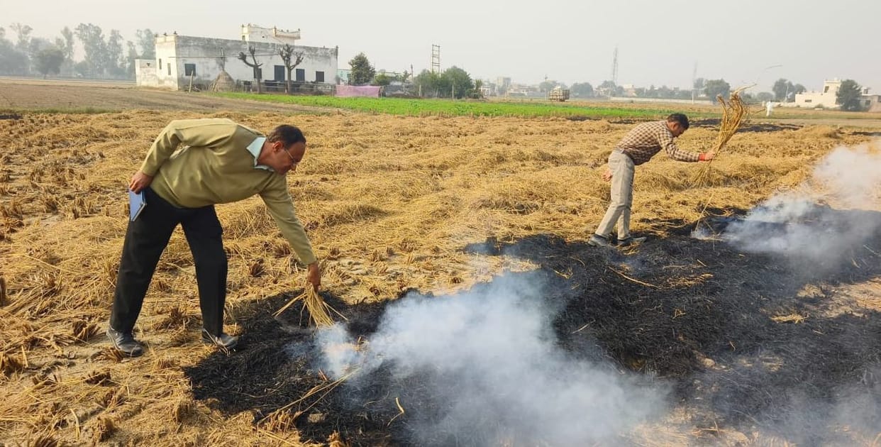 Cases of burning of paddy residue increasing, figure crosses 160