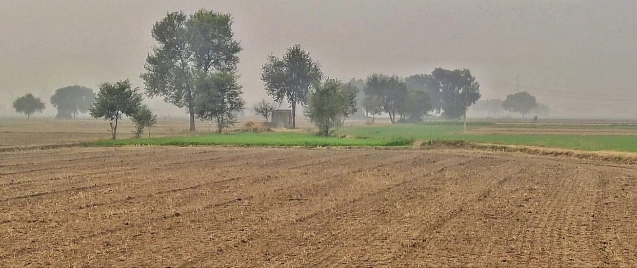 Land Survey: Exemption in survey, Khatian is not necessary for land survey in Bihar, Minister Dilip Jaiswal