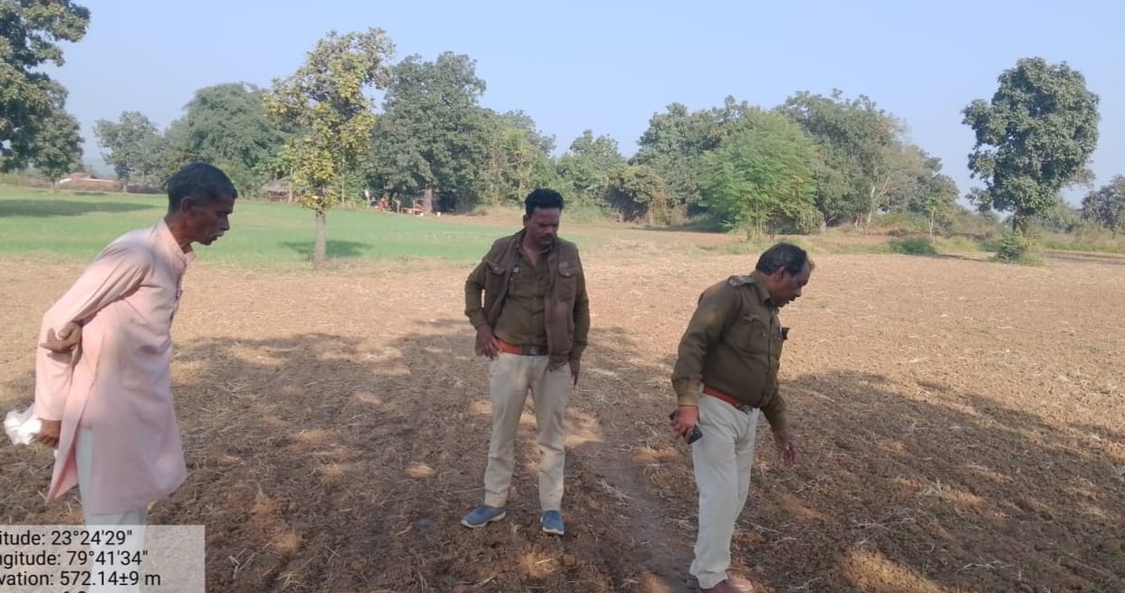 Damoh Leopard reached the farmer's field, forest department started searching after footprints