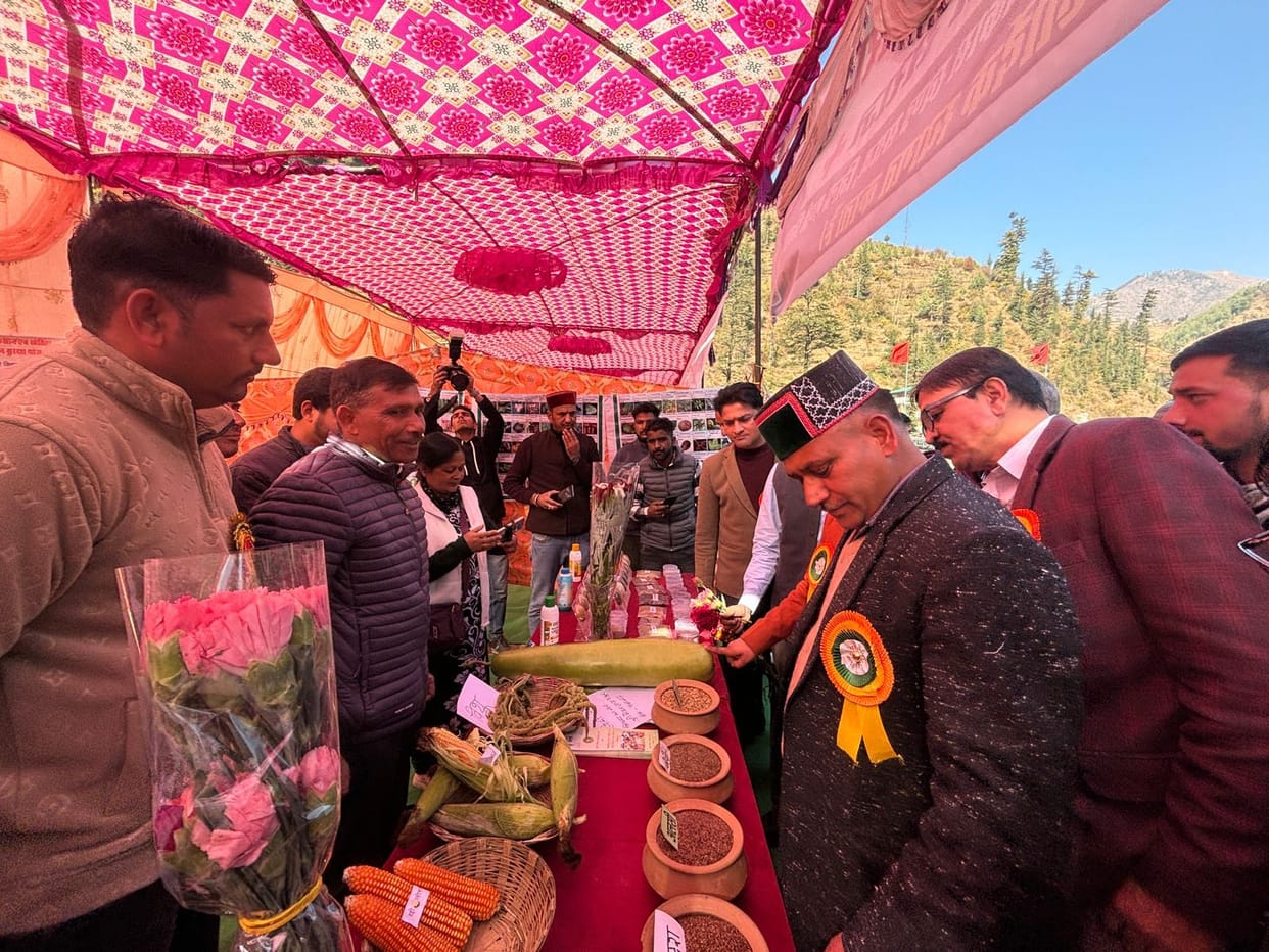A glimpse of Saraj's culture seen in the Red Cross fair