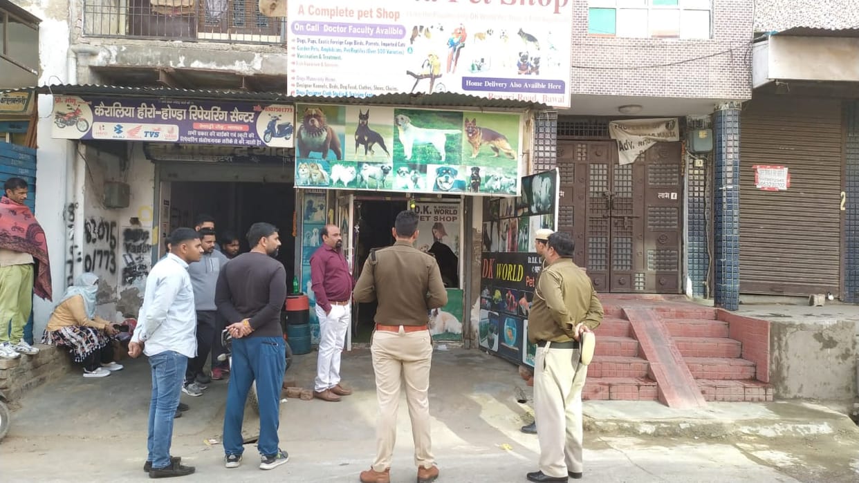 Two dogs and birds stolen by breaking the lock of veterinary clinic