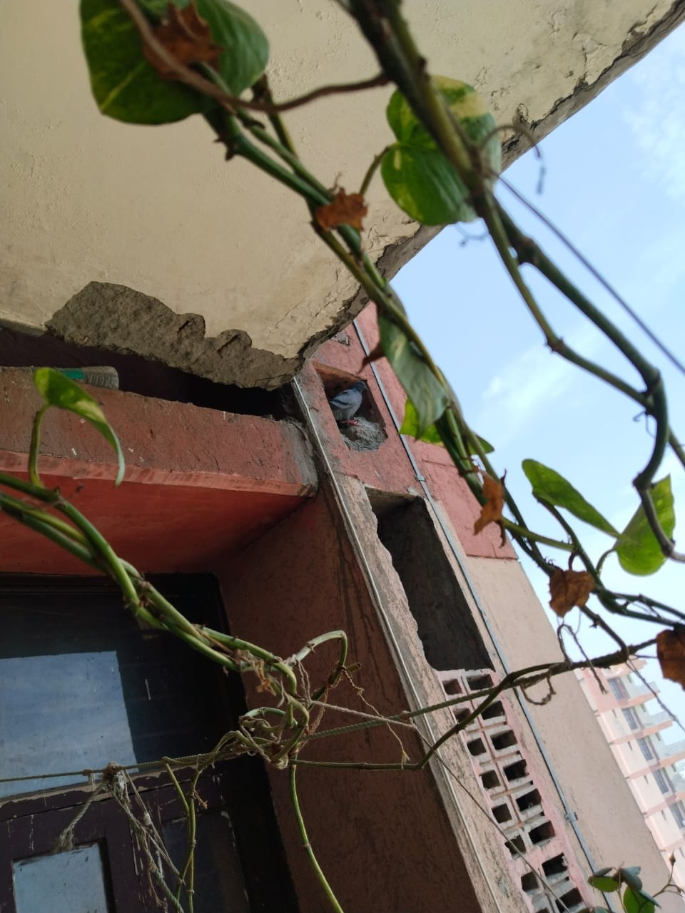 Structural audit of dilapidated buildings begins, team will submit report after 31 December