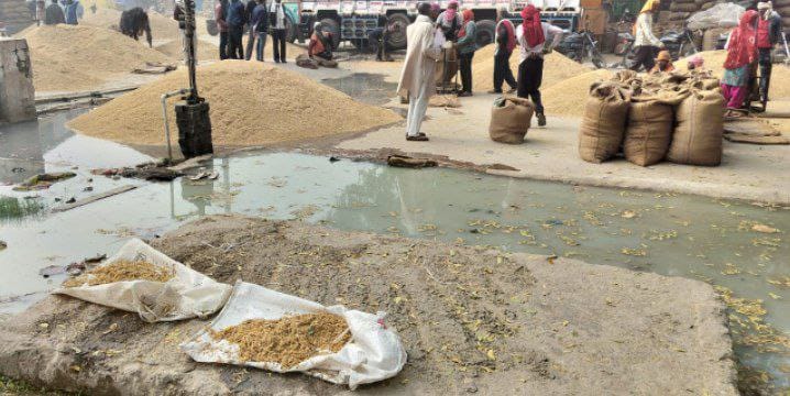 Drain overflowed, farmers' paddy got wet in the market premises