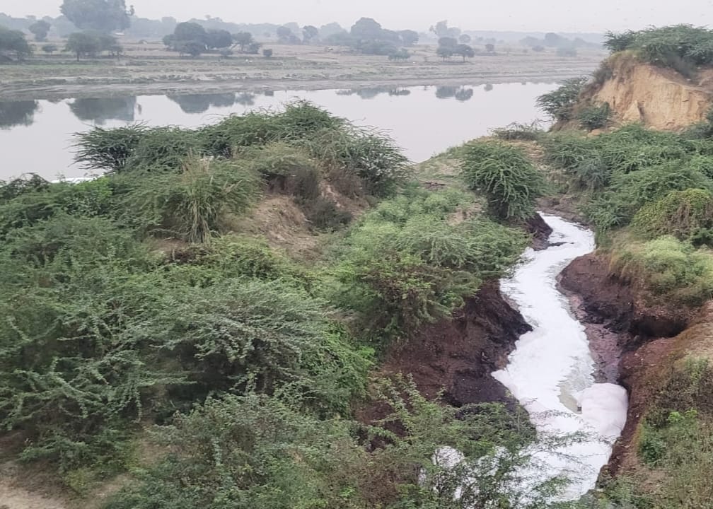 Foamy water coming out of STP is flowing into Yamuna.