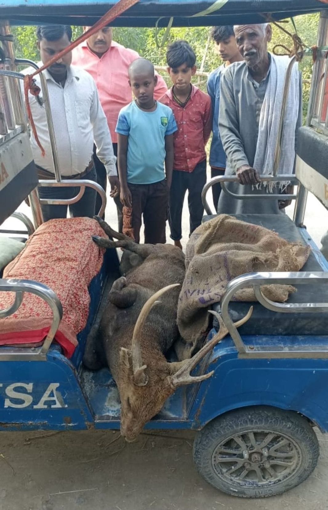 The carcass of a deer was found lying in the garden