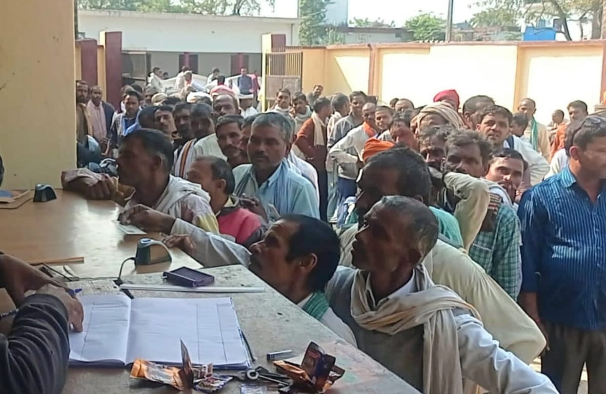Farmers gathered for subsidized wheat seeds, police had to be called