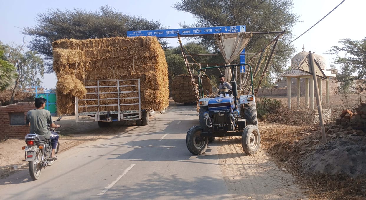 Tractor-trolleys filled with bundles of straw are becoming a problem for the people on Ghukanwali Road in Nuhianwali
