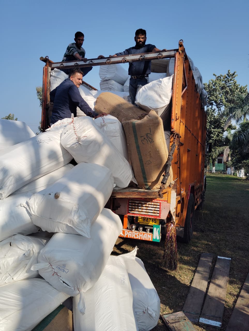 Truck Full of Willow Bat Wood Seized by Forest Protection Force