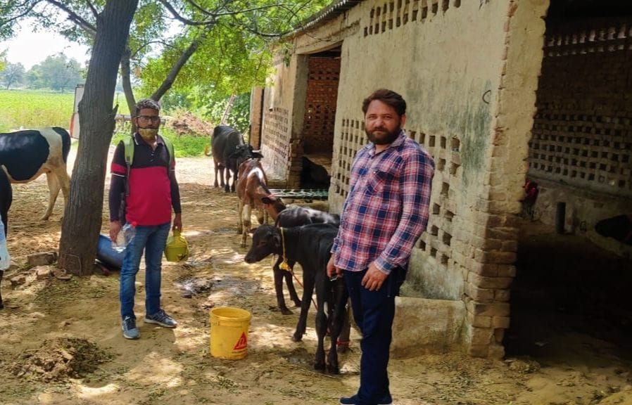 Protect animals from cold: Pawan Kangra