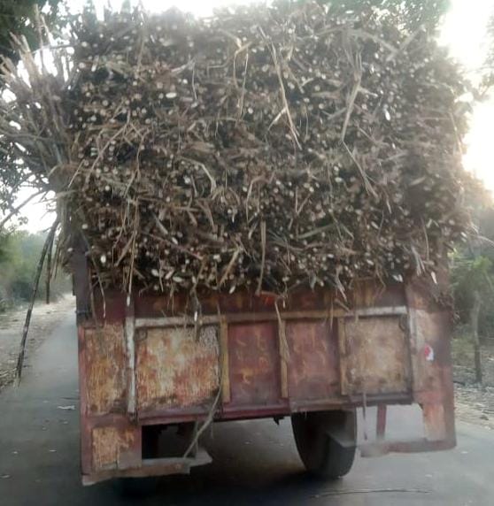 No reflectors on tractor-trolleys, increased risk of harassment